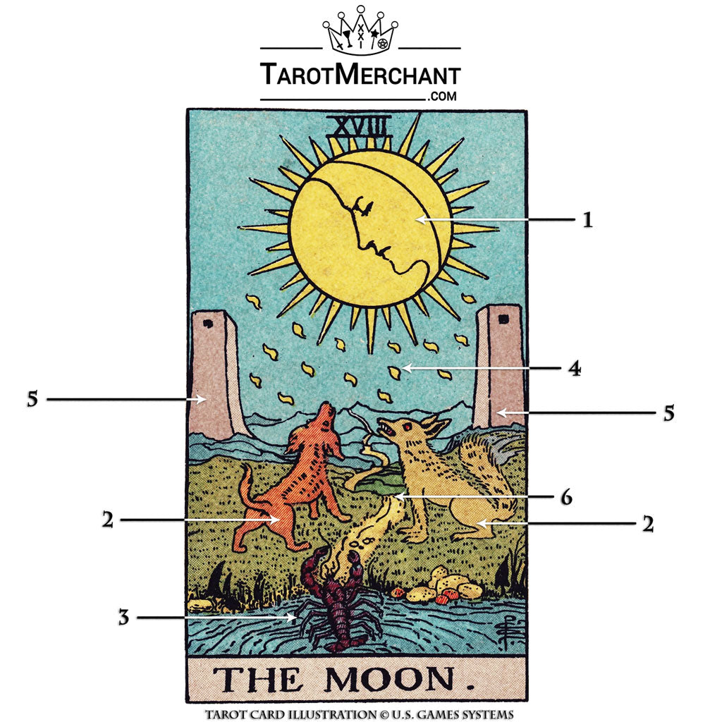 The Moon Tarot Card Wants You to Listen to Your Gut